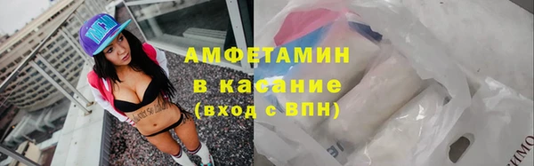 МДПВ Пересвет