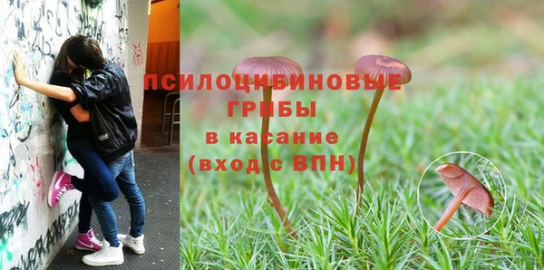 МДПВ Белоозёрский
